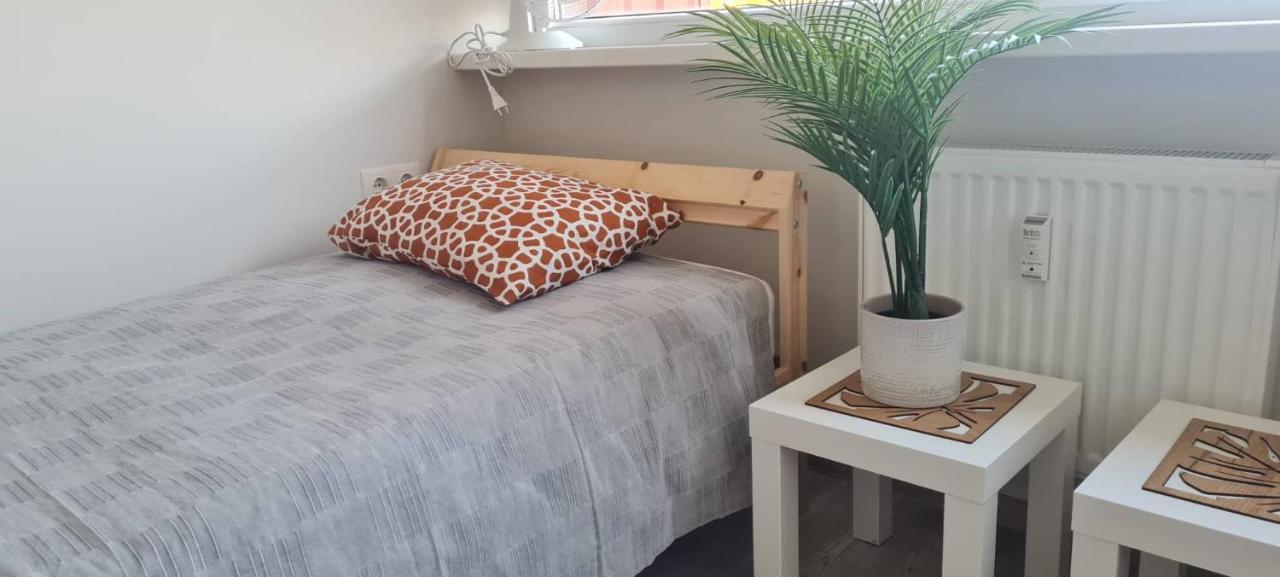 Taikos Studio 8,, Free Parking Klaipėda Eksteriør billede